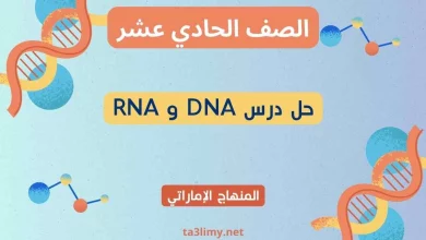 حل درس DNA و RNA أحياء حادي عشر إماراتي